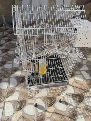 قفص ببغاء للبيع