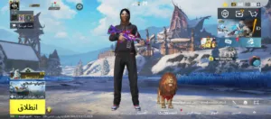 Pubg Accounts and Characters for Sale in Tubas