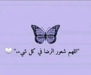 shimaa saad 