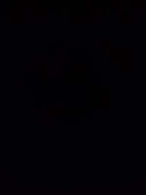 فاطمة الزهراء  محمد فرج الله 