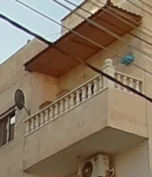 مطلوب مطلوب شبك حمايه لهذه برنده بالصوره