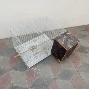 قفص وبياضه
