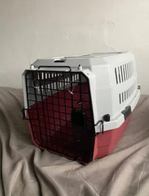 مستلزمات قطط للبيع يلي مهتم يتواصل عالرقم