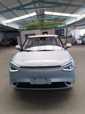 Dongfeng Nammi Box 2025