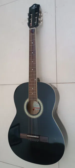 Pluto Acoustic Guitar