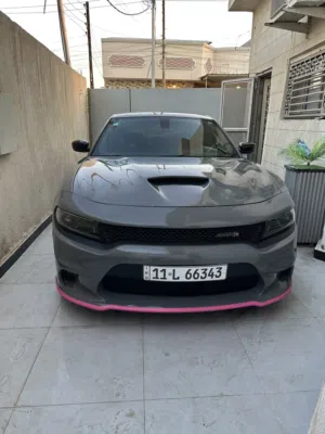 جارجر سكات باك 2023 لاست كول