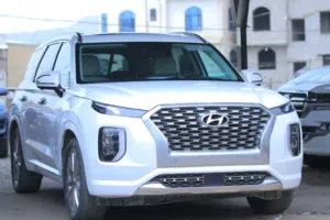 هوانداي بالسايد 2020 فخامه امريكي