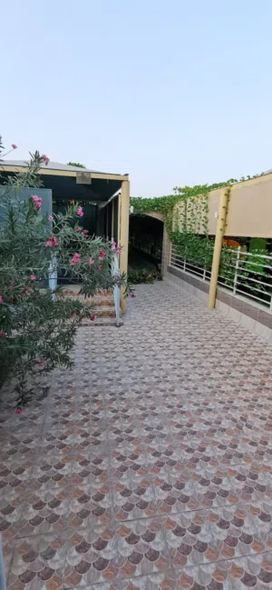1 Bedroom Farms for Sale in Al Batinah Al Masnaah