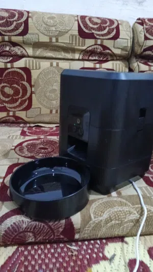 مقدمه طعام