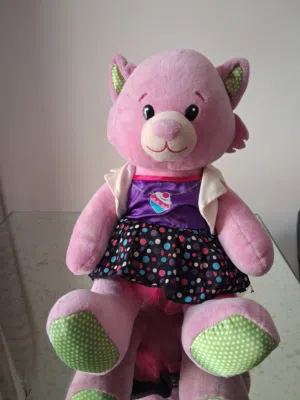 Teddy bear from Built a Bear
