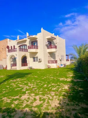 500 m2 5 Bedrooms Villa for Rent in Alexandria Marina 5