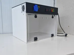 حضانة فروخ ببغاء