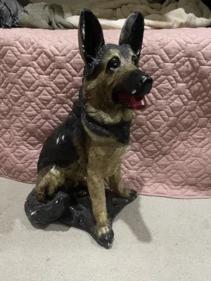 Clay dog good conditoin