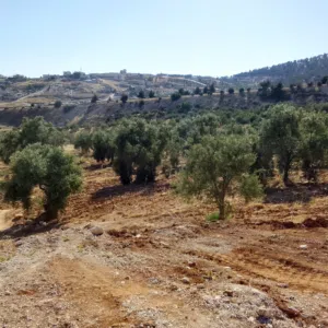 Mixed Use Land for Sale in Jerash Other