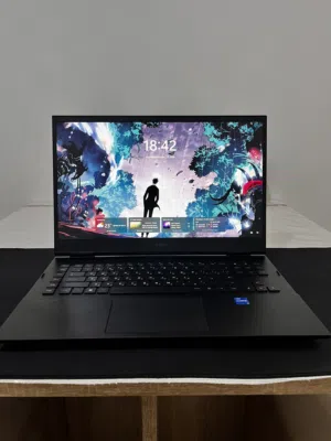 HP Omen 17.  Fresh laptop battery health is above 85%. Nothing needs to be changed or upgraded.