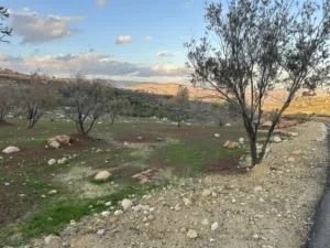 Farm Land for Sale in Zarqa Al-Alouk