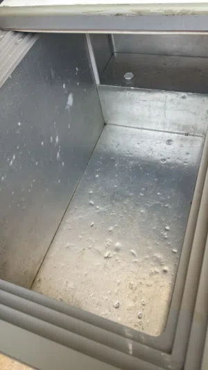 مجمدة شغاله