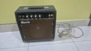 Guitar speakers سماعه جيتار