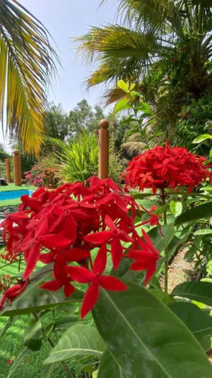 2 Bedrooms Chalet for Rent in Al Batinah Sohar