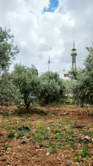Mixed Use Land for Sale in Irbid An-Nuayyimah