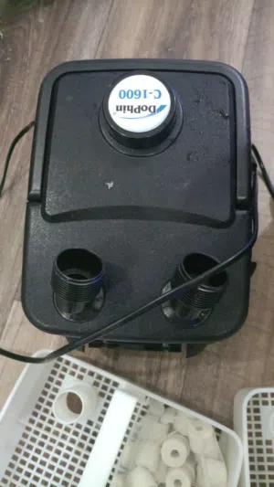 dolphin C1600 filter