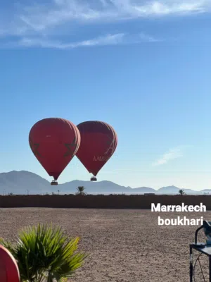 Mixed Use . 4000 m2 . Landlord2