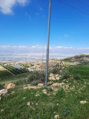 Farm Land for Sale in Salt Al Maghareeb