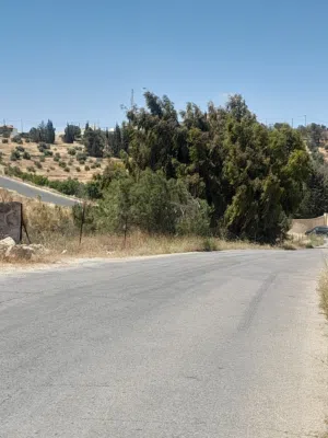 قطعة ارض فخمه للبيع في شفابدران جنب مزرعة الباشا حكمت مهيار 863م سكن ب شارع 30م مستويه صخريه حي راقي