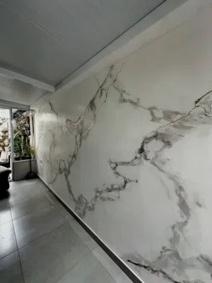 wall painting 3d Designing Marble Paint
