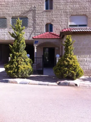 65 m2 1 Bedroom Apartments for Rent in Amman Daheit Al Rasheed
