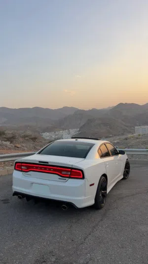 2013 Dodge charger R/T