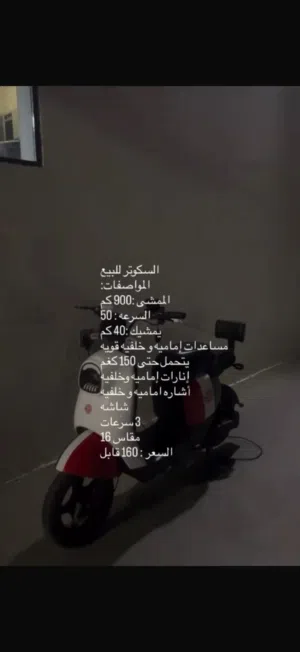 سكوتر كهربائي مزود بعلم المكسيك