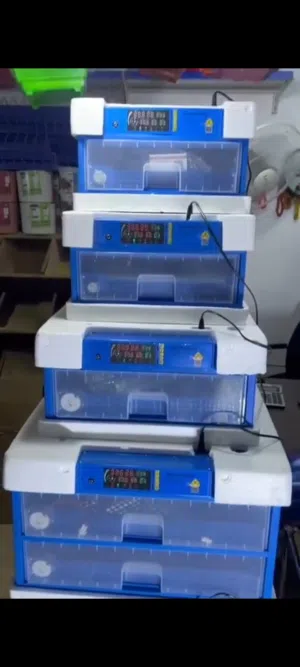 تم وصول أفضل وأقوى انواع الفقاسات بيض دجاج /بيض فري/بيض حبش/ بيض بط ابدأ بمشروعك الصغير والباقي ع