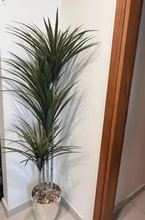 نبتة صناعية أنيقة بحالة ممتازة......Artificial Decorative Plant with Pot