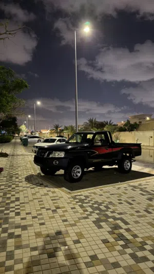 فتك بيكب 2014
