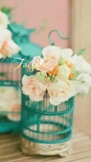 مطلوب سخين مشركه سكن شقه غرفتين