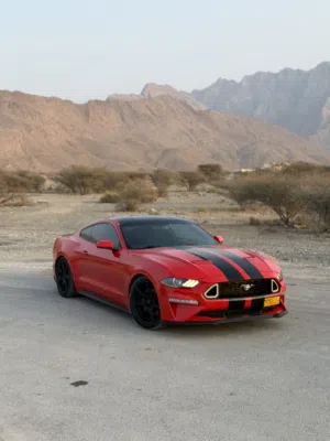 Used Ford Mustang in Al Batinah