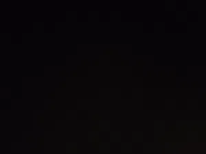 مطلوب سخله بي سعر مناسب 35