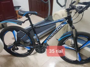 Bicycle for sale