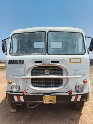 فيات طانطا