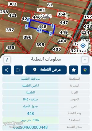 Mixed Use Land for Sale in Tafila Al-Ayes