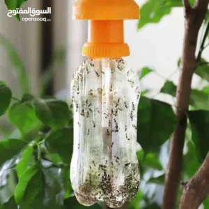 افخاخ ذبابة الفاكهة ب 700 بيسة كمية محدودة حتى نفاذ الكمية