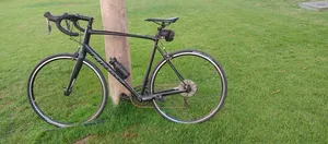 giant bike contend 3 XL for urgent selling
