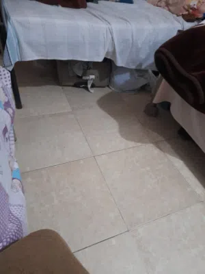 مشاركة سكن