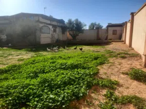 Residential Land for Sale in Al Khums Other