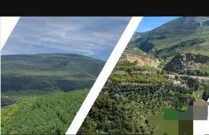 Farm Land for Sale in Salt Wadi Shua'ib