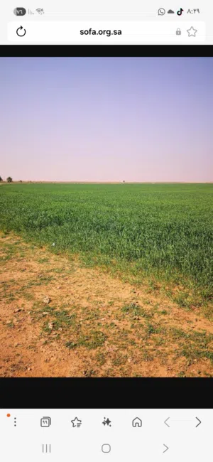 مطلوب مستثمرين مشاريع في سلطنة عمان Investors are needed for projects in the Sultanate of Oman.