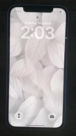 iPhone 12 128g