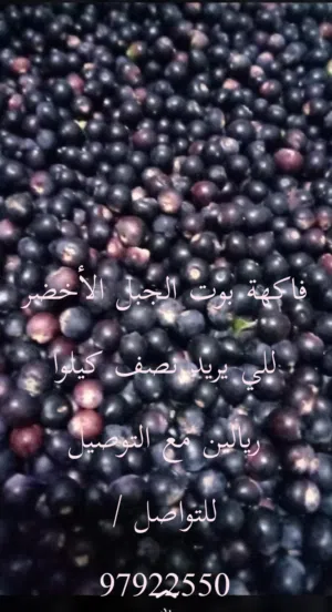 فاكهة البوت