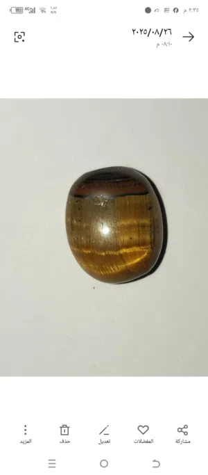 حجر عين النمر